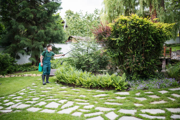 Best Pest Removal Services  in Ladonia, AL