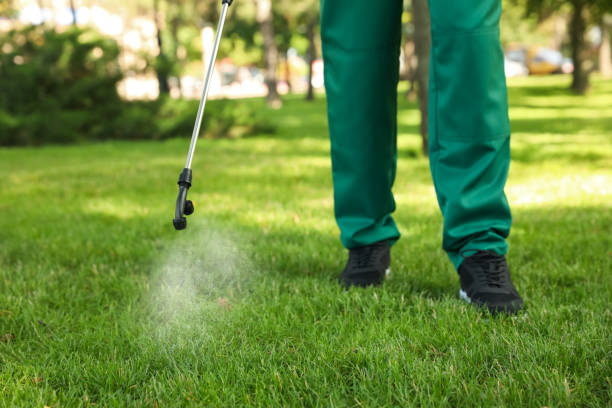 Wasp Removal Services in Ladonia, AL