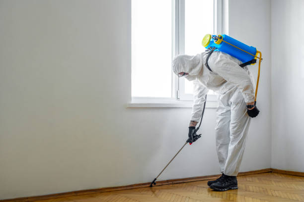 Best Emergency Pest Control  in Ladonia, AL