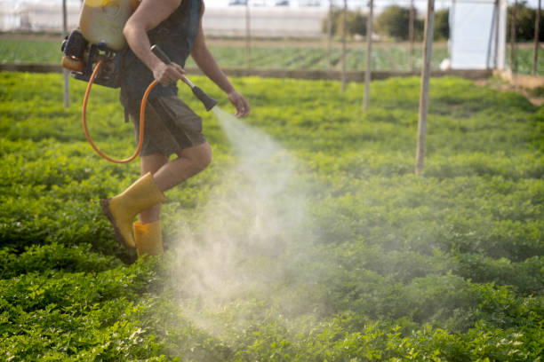Best Best Pest Control Companies  in Ladonia, AL