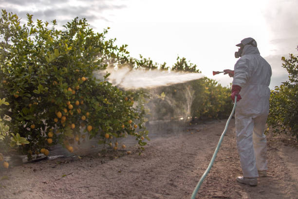 Best Affordable Pest Control Services  in Ladonia, AL