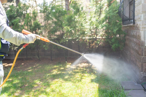 Best Termite Control Services  in Ladonia, AL