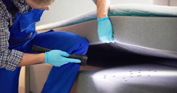 Best Flea Control Services  in Ladonia, AL