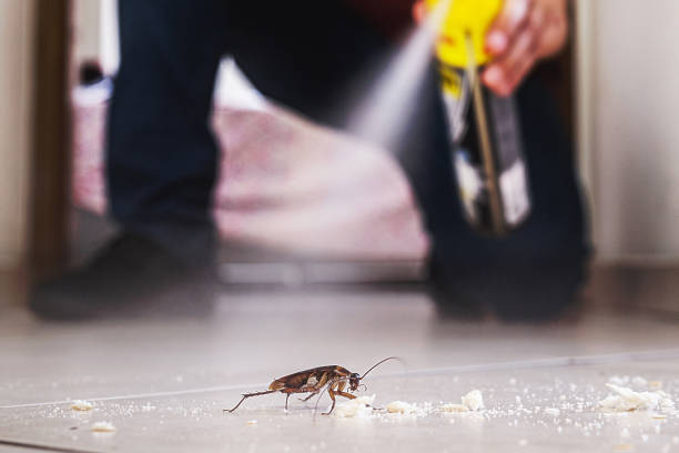 Best Mosquito Control Services  in Ladonia, AL