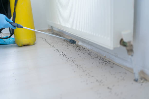 Best Pest Control Treatment  in Ladonia, AL