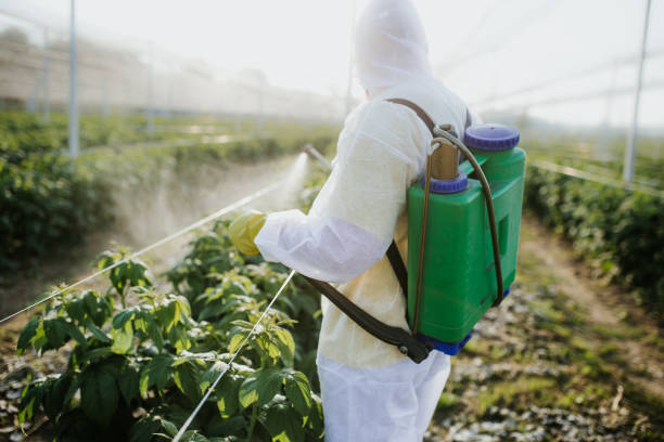 Best Wasp Removal Services  in Ladonia, AL